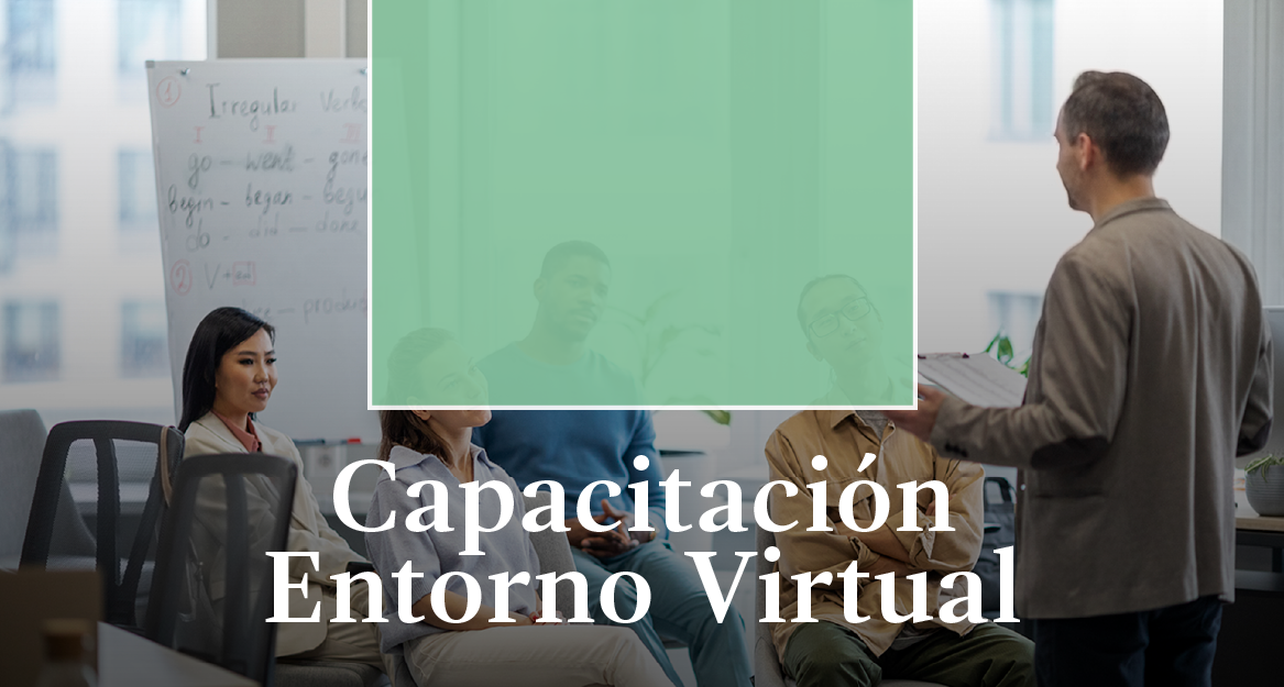 Capacitación Entorno Virtual profesores