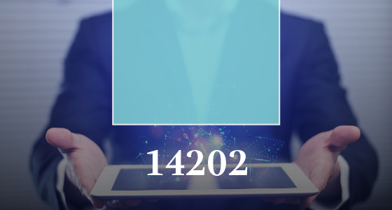 Tecnología de la Información (S1 2025)